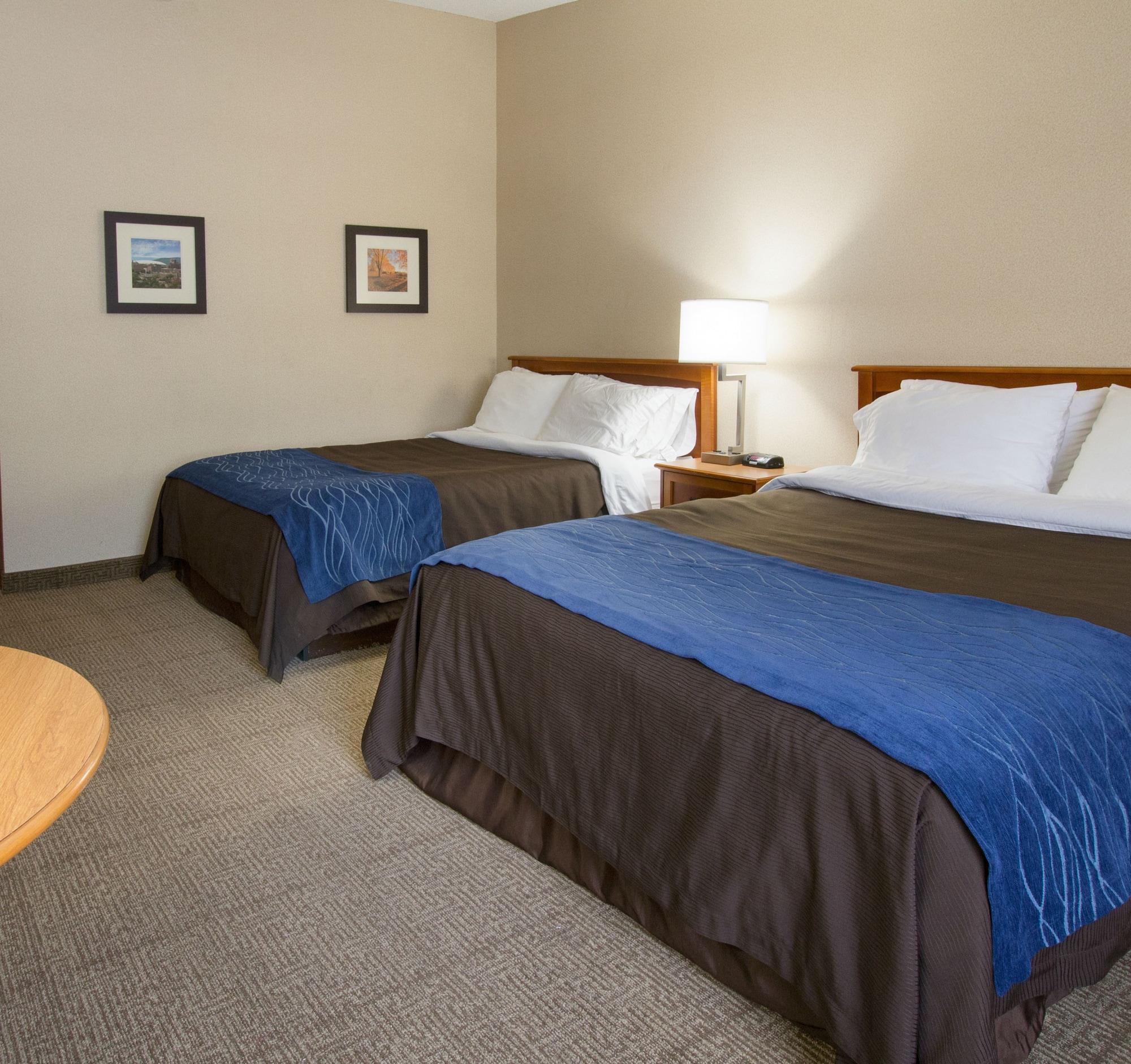 Comfort Inn & Suites Syracuse-Carrier Circle East Syracuse Buitenkant foto