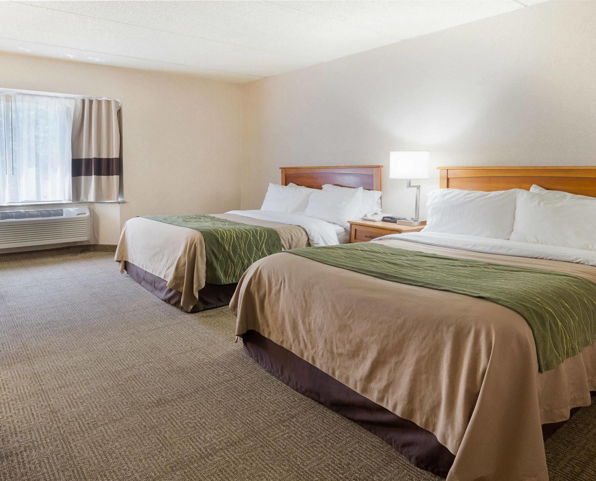 Comfort Inn & Suites Syracuse-Carrier Circle East Syracuse Buitenkant foto